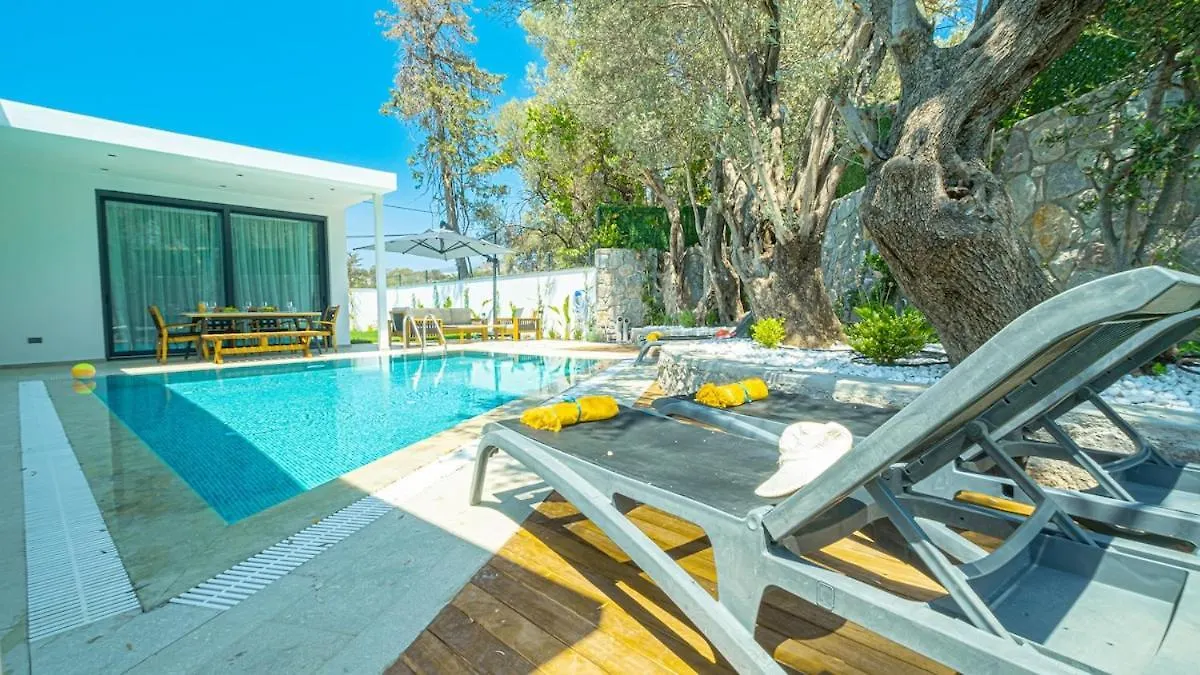 Villa Juliet Yalikavak Private Pool Bodrum Turkey